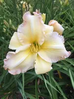 k-2019-07-18_20-15-20_IMG_5694.webp