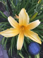k-2019-07-18_20-15-46_IMG_5696.webp
