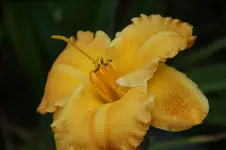 DSC08101.webp