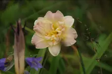 DSC08103.webp