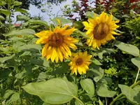 20190718_124041_resized.webp