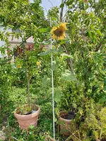 20190718_124119.webp