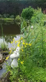 20190606_095816.webp