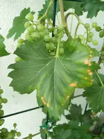 IMG_20190719_080924.webp