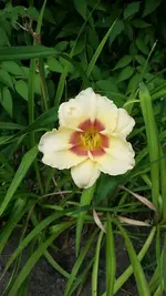 20190718_112555.webp