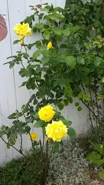 20190718_112457.webp