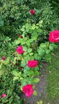 20190718_112406.jpg
