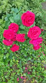 20190718_112343.webp