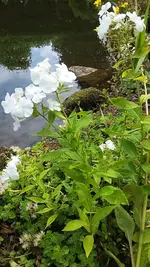 20190718_111602.webp