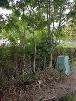 20190718_133116.webp