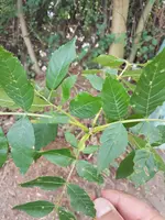 20190718_133138.webp