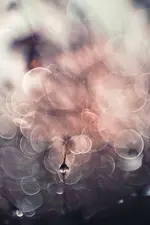 0M3A0809.webp