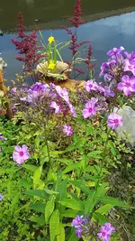 20190718_111637.webp