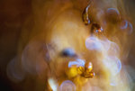 0M3A0833.jpg