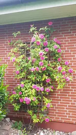 20190525_103615.webp