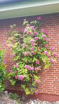 20190525_103615.jpg