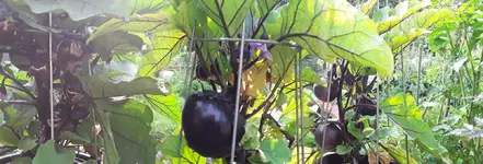 20190720_080124.webp