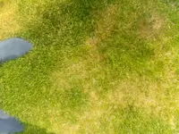 IMG_20190720_133522[1].webp