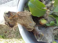 20190720_101512.webp