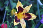 DSC08108.JPG