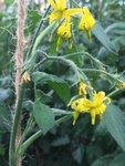 IMG_1944.JPG