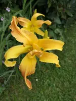IMG_20190721_121051.webp