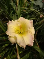 IMG_20190721_121210.webp