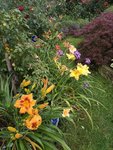 IMG_20190720_200059.jpg
