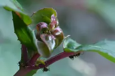 image001.jpg image001.jpg