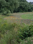 20190721_141832.jpg