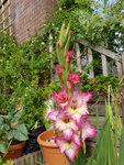 20190719_172716.jpg
