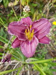 20190719_172658.jpg
