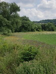 20190721_141839.jpg