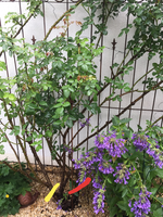 20190721_202359.webp