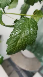 20190721_170106.webp