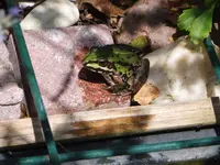 P1020920.webp