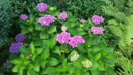 20190721_105629.webp