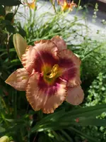 IMG_20190722_181127.webp