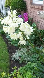 20190721_110216.webp