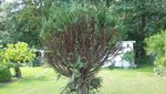 20190721_105941.jpg
