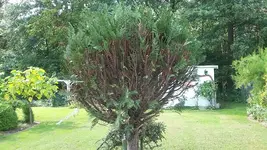 20190721_105941.webp