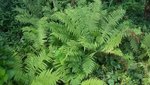 20190721_105637.jpg