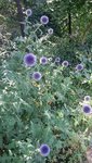 20190721_141136.jpg