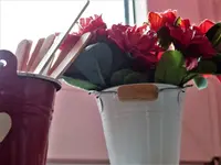image003.webp