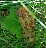 IMG-20190723-WA0003.webp