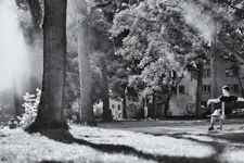 Westpark.webp
