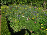 DSC00543.JPG