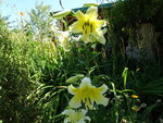 DSC00546.JPG
