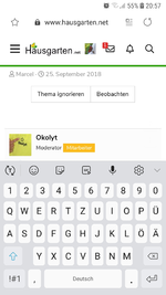 Screenshot_20190723-205753_Samsung Internet.jpg
