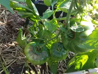 20190724_093125.webp